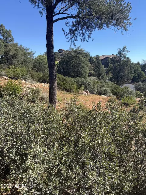 800 N Grapevine Dr #166, Payson, AZ 85541 photo 11