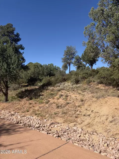 800 N Grapevine Dr #166, Payson, AZ 85541 photo 6
