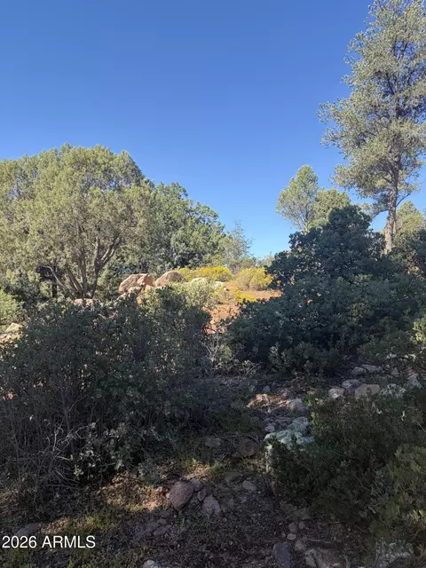 800 N Grapevine Dr #166, Payson, AZ 85541 photo 8