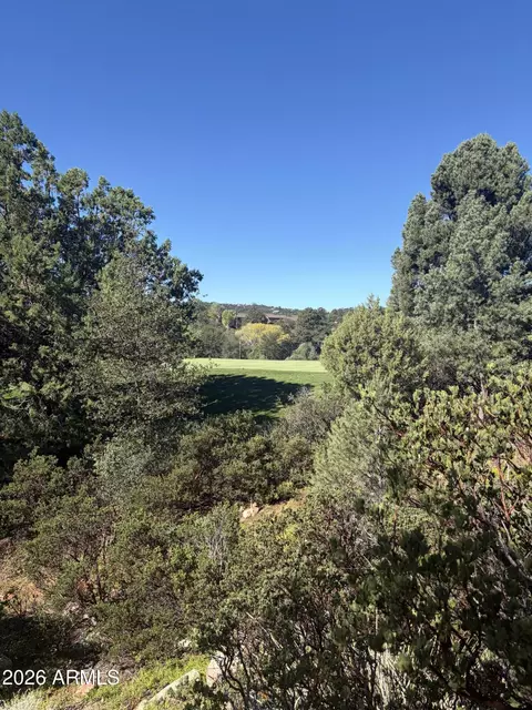 800 N Grapevine Dr #166, Payson, AZ 85541 photo 3
