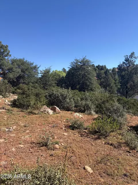 800 N Grapevine Dr #166, Payson, AZ 85541 photo 13