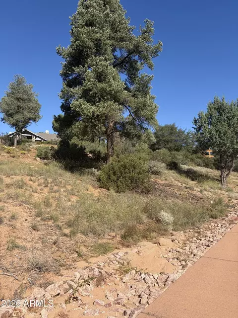 800 N Grapevine Dr #166, Payson, AZ 85541 photo 15