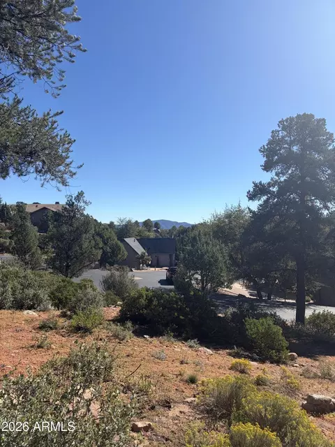 800 N Grapevine Dr #166, Payson, AZ 85541 photo 10