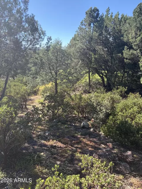 800 N Grapevine Dr #166, Payson, AZ 85541 photo 12