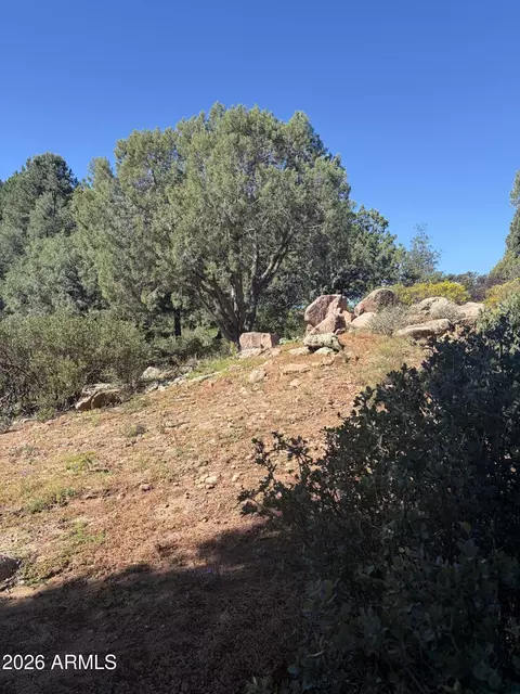 800 N Grapevine Dr #166, Payson, AZ 85541 photo 9