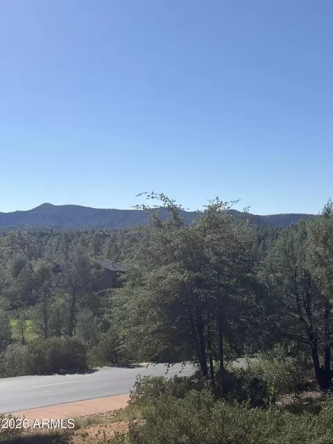 800 N Grapevine Dr #166, Payson, AZ 85541 photo 2
