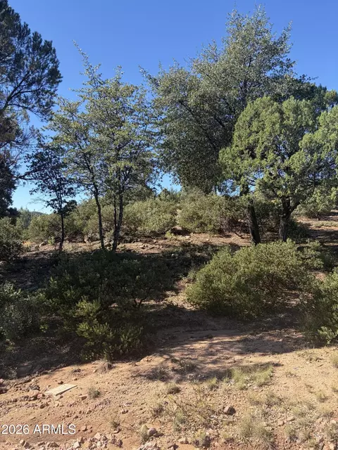 800 N Grapevine Dr #166, Payson, AZ 85541 photo 7