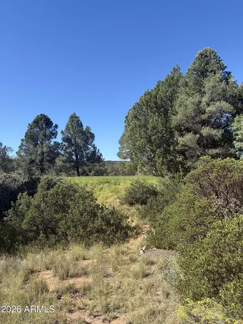 800 N Grapevine Dr #166, Payson, AZ 85541 photo 4