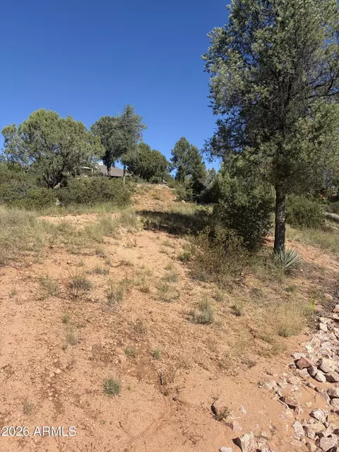 800 N Grapevine Dr #166, Payson, AZ 85541 photo 14