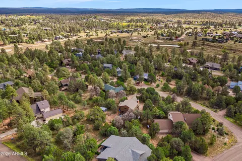 View/Area - 2228 Eagle Ln, Overgaard, AZ 85933 photo 2 of 6