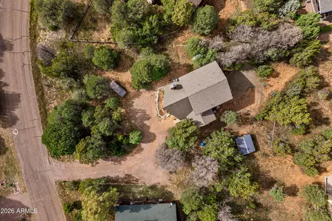View/Area - 2228 Eagle Ln, Overgaard, AZ 85933 photo 6 of 6
