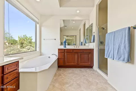 Bath - 8850 E Norwood St, Mesa, AZ 85207 photo 2 of 5