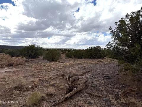 3875 Apache Rd #877, Snowflake, AZ 85937 photo 6