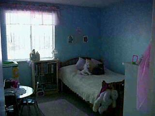 9531 E 32nd St, Tucson, AZ 85748 photo 5