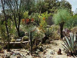 7652 E Lee St, Tucson, AZ 85715 photo 1