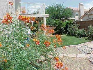 4141 E Pinal St, Tucson, AZ 85739 photo 3