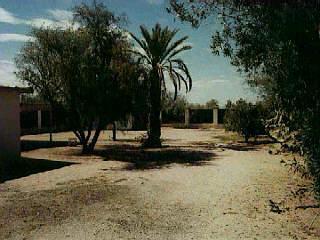 31 E Delta Rd, Tucson, AZ 85706 photo 7