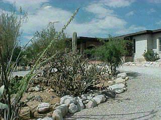 1101 E Silver Tree, Tucson, AZ 85718 photo 2