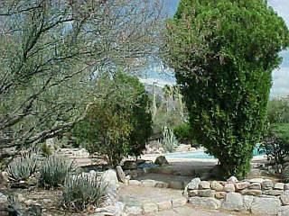 1101 E Silver Tree, Tucson, AZ 85718 photo 5