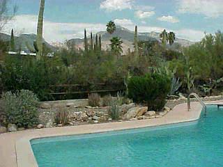 1101 E Silver Tree, Tucson, AZ 85718 photo 3