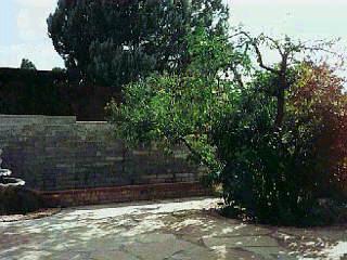 8902 E Baker St, Tucson, AZ 85710 photo 8