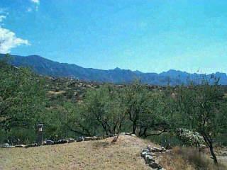 5880 Edwin Rd, Tucson, AZ 85739 photo 4