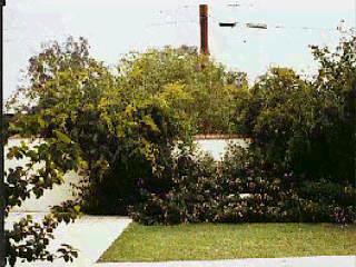 6031 E 15th St, Tucson, AZ 85711 photo 8