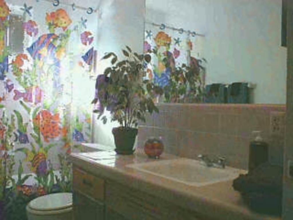 1610 E Copper St, Tucson, AZ 85719 photo 2