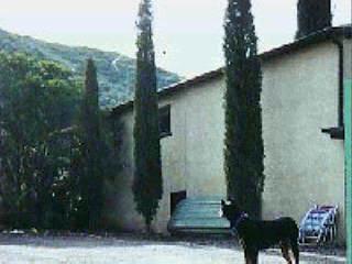 9297 S Kellner Canyon Rd, Globe, AZ 85501 photo 1