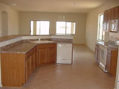 466 S Sweet Ridge Dr, Vail, AZ 85641 photo 3