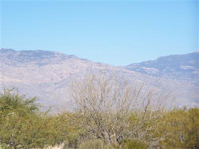8960 S Placita Nobleza, Vail, AZ 85641 photo 2
