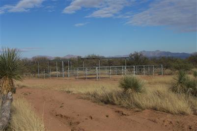 526 N Ash Pl, Benson, AZ 85602 photo 8