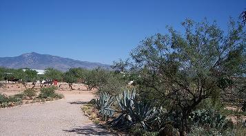 9460 S Rincon Mesa Dr, Vail, AZ 85641 photo 2