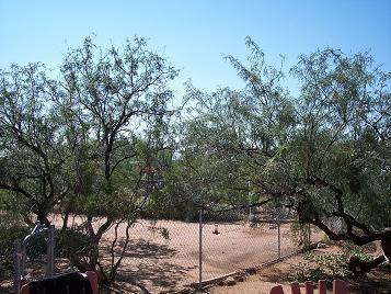 9460 S Rincon Mesa Dr, Vail, AZ 85641 photo 4