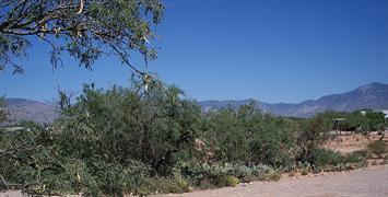 9460 S Rincon Mesa Dr, Vail, AZ 85641 photo 3