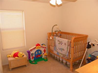 13198 E Alley Spring Dr, Vail, AZ 85641 photo 7