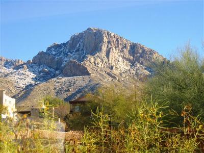 1485 E Tascal Loop, Oro Valley, AZ 85737 photo 2