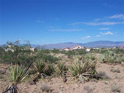 2961 E Consuelo Pl, Vail, AZ 85641 photo 2