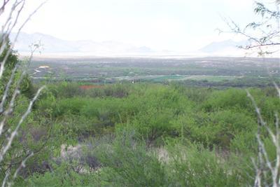 1279 W Hummingbird Ln, Benson, AZ 85602 photo 4