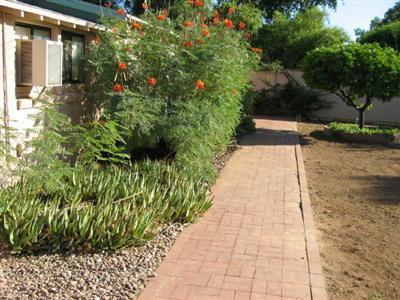 2118 Edison St, Tucson, AZ 85719 photo 9
