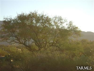14517 E Circle Q Ranch Pl, Vail, AZ 85641 photo 13