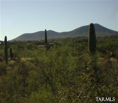 14517 E Circle Q Ranch Pl, Vail, AZ 85641 photo 6