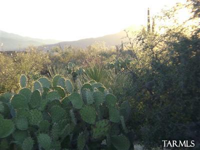 14517 E Circle Q Ranch Pl, Vail, AZ 85641 photo 1