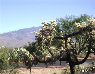 14517 E Circle Q Ranch Pl, Vail, AZ 85641 photo 8
