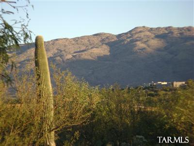 14517 E Circle Q Ranch Pl, Vail, AZ 85641 photo 12