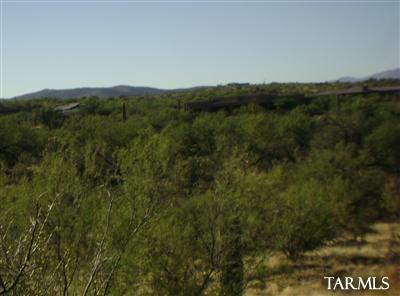 14517 E Circle Q Ranch Pl, Vail, AZ 85641 photo 4