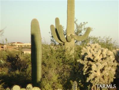14517 E Circle Q Ranch Pl, Vail, AZ 85641 photo 5