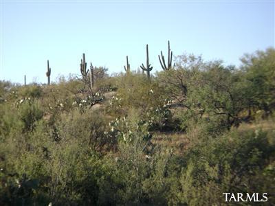 14517 E Circle Q Ranch Pl, Vail, AZ 85641 photo 24