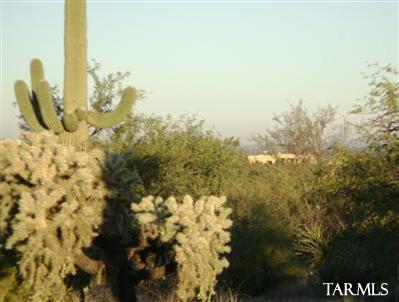 14517 E Circle Q Ranch Pl, Vail, AZ 85641 photo 18