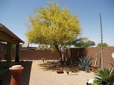 7253 E Maritime Dr, Tucson, AZ 85706 photo 10